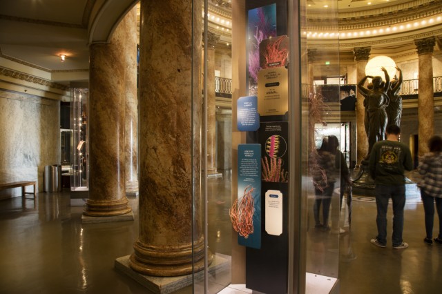 Display case in the Rotunda