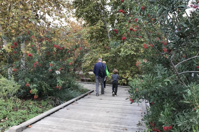 Visitors stroll the boardwalk