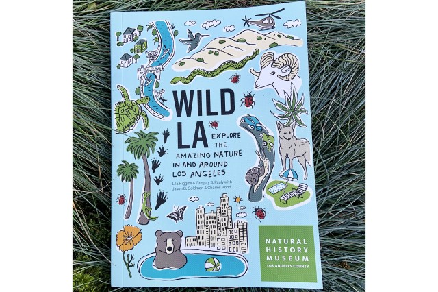 wild LA book