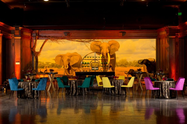Reception in front of the elephant diorama in the African Mammal Hall