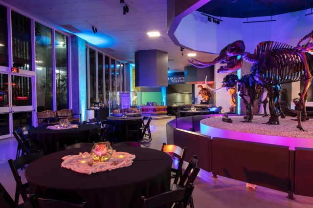 Dinner reception at La Brea Tar Pits