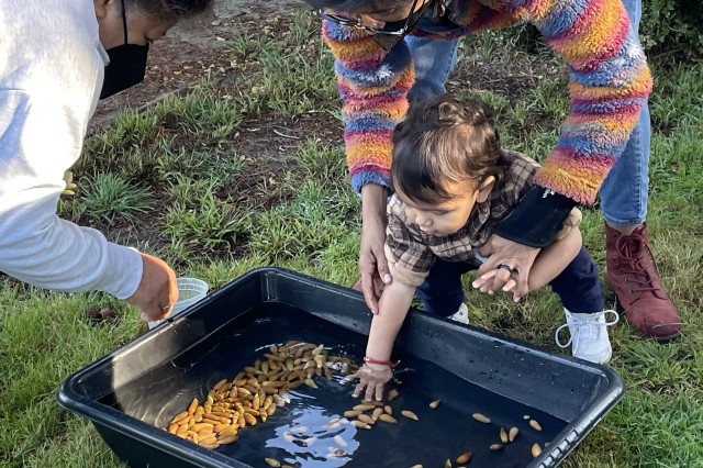Acorn Harvest 3 Float Test