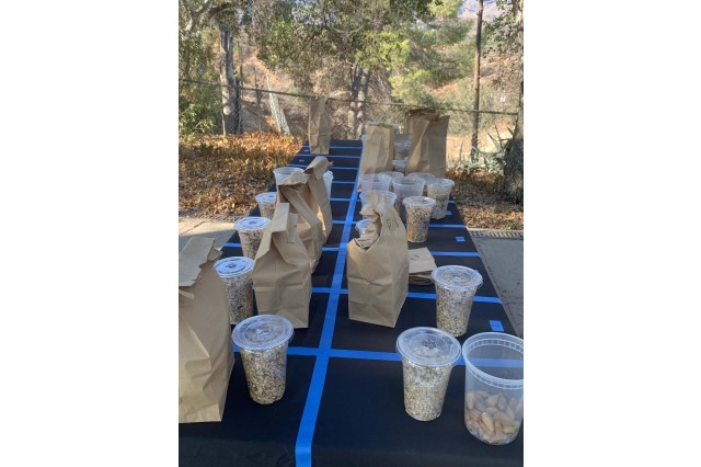Acorn Harvest 7 baking kits