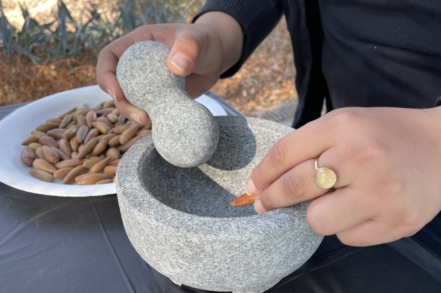 Acorn Harvest 5 mortar and pestle