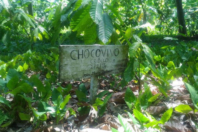 wooden sign in farm 