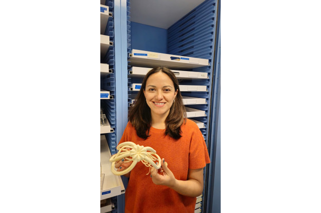 Dr. Tania Pineda-Enriquez, Collections Manager of Echinoderms