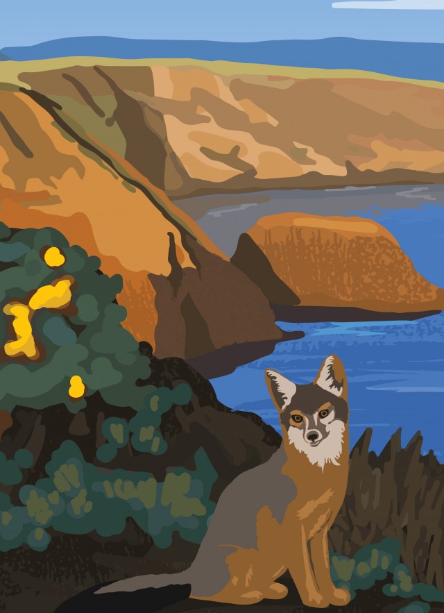 NHM journeys fellows channel islands key art