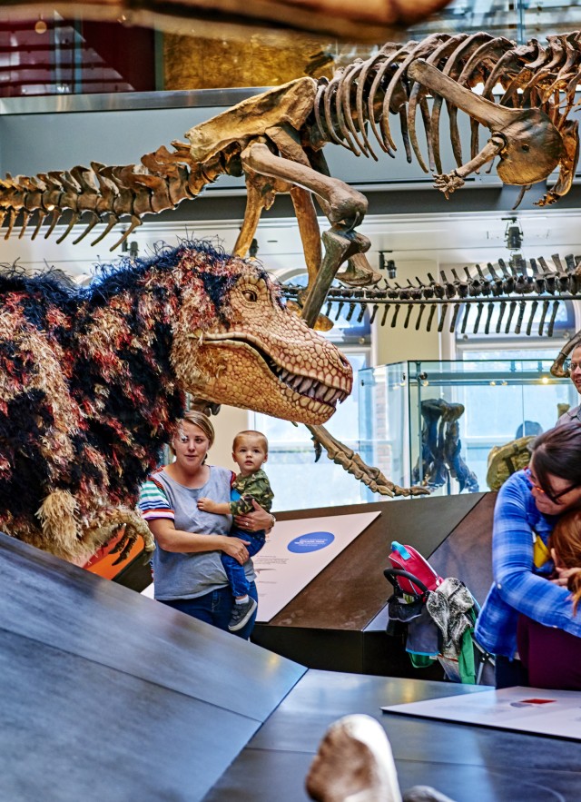 Hunter the T-rex in the dino hall