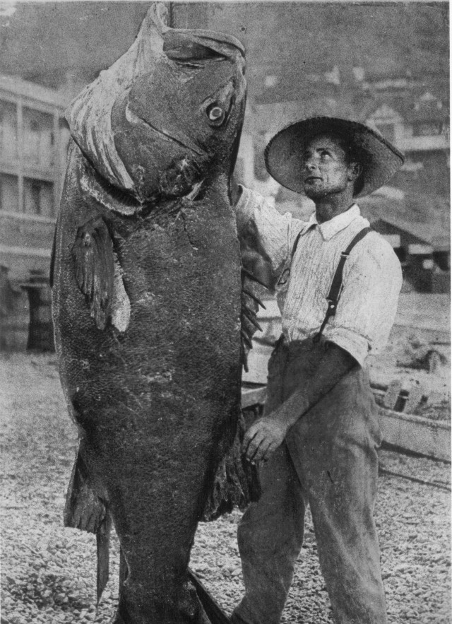 Giant fish with guy staring at it