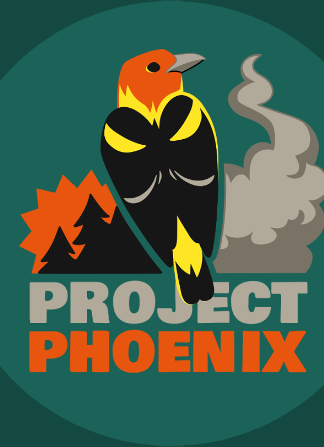 Project Phoenix Icon Green