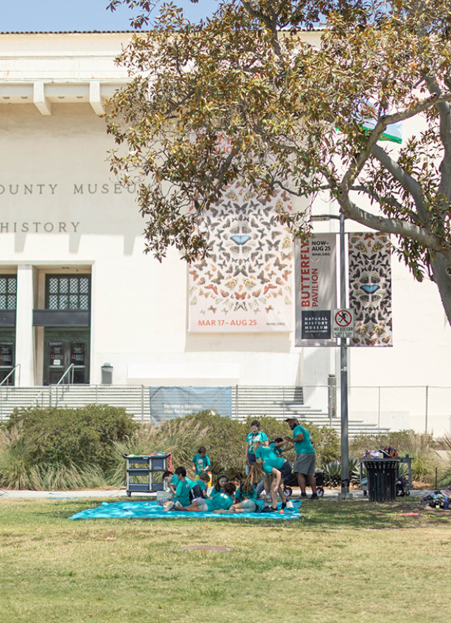 Children playing on the lawn in front of the Natural History Museum building