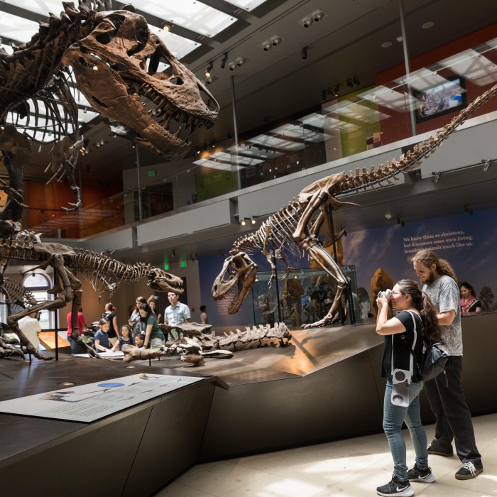 t-rex skeleton in dinosaur hall