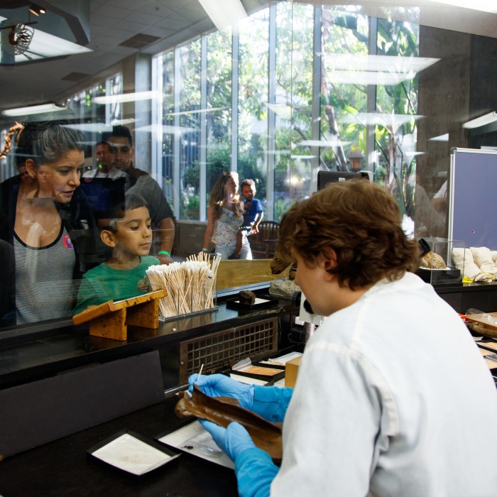 Onlookers watch scientists in the Fossil Lab