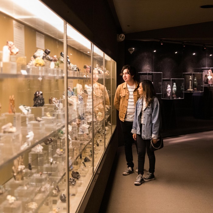 guests in the gem and mineral hall