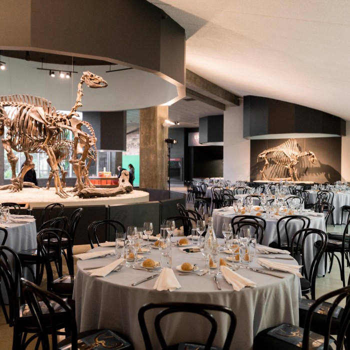 special event setup tables tar pits 