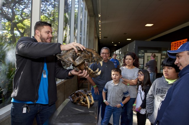 volunteer holding skull in front of guests