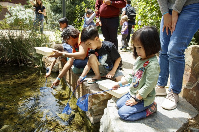Group of children ponding in the Nature Gardens at NHM