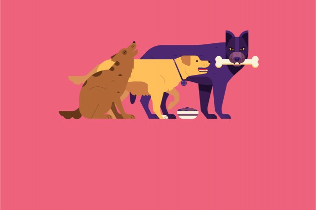 Dogs 4:3
