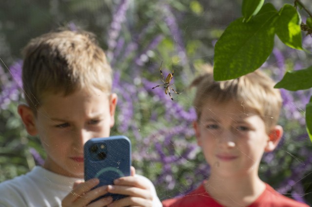 One child looking at a spider through a cell phone, standing next to another child