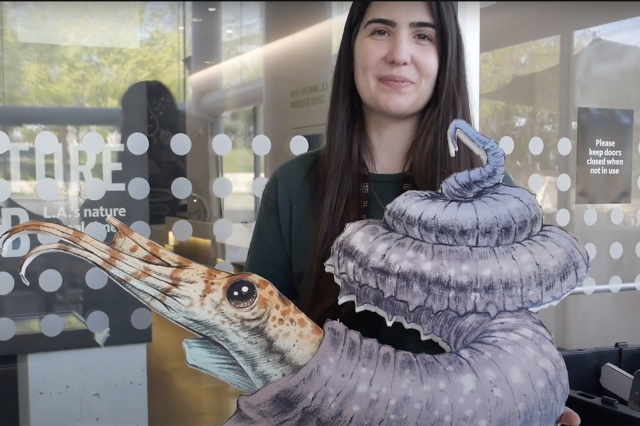 Juliet Hook holding a flat cut-out of an ammonite with a purple shell and orange and white striped head with tentacles 