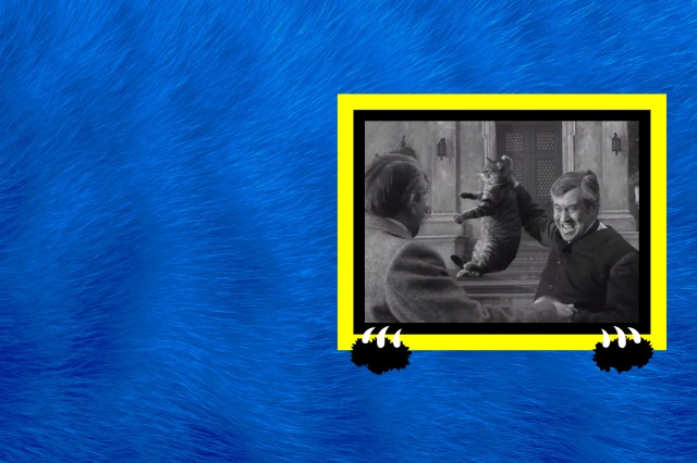 Yellow and black border around a black and white image of a man holding a cat up by the scruff of its neck, against a blue furry background