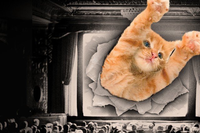 Orange and white cat tearing through a black and white movie screen with an audience in the foreground