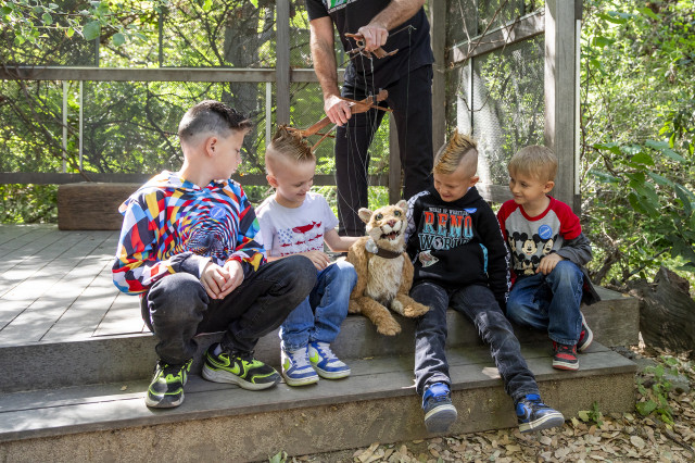 Children sitting on either side of a puppeteer holding the strings of miniature mountain lion puppet