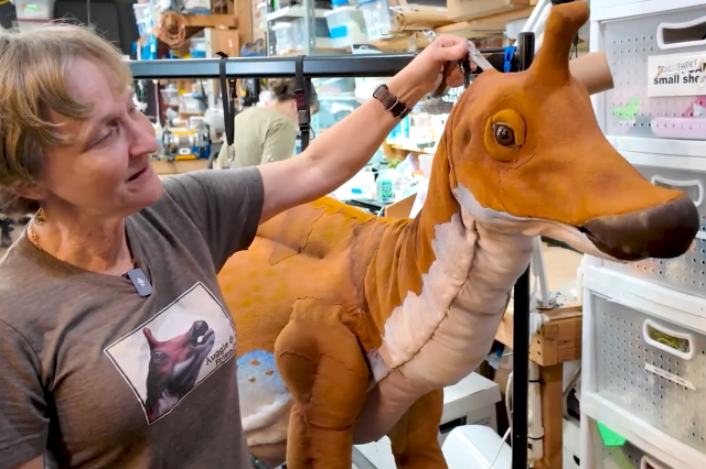 Robin Walsh with her hand on the head of  a tan and white dinosaur puppet