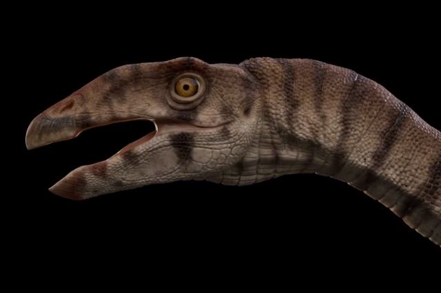 Labrujasuchus headshot