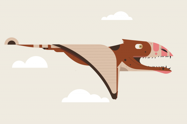 Pterosaurs flight path - poster