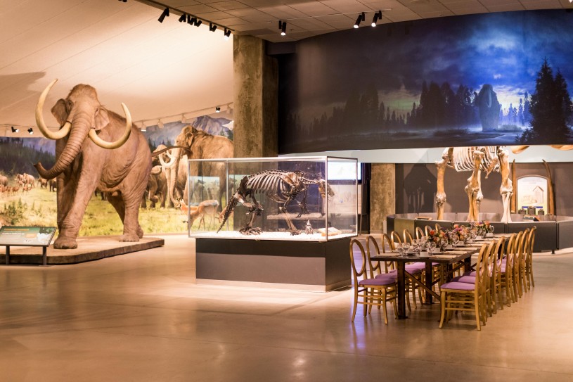 special event setup in museum la brea tar pits