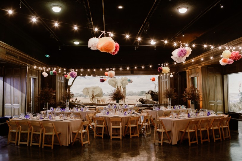 special event setup african mammal hall wedding