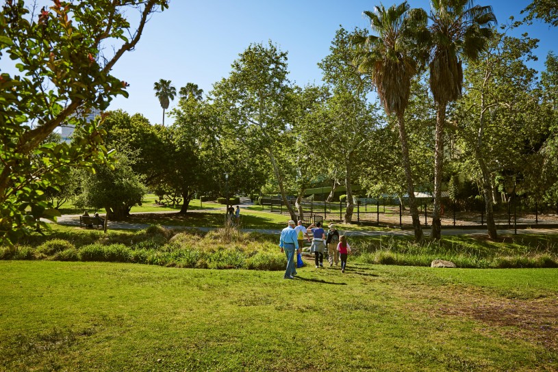 lawn space in hancock park