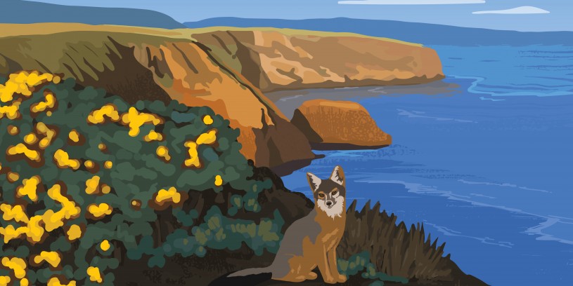 NHM journeys fellows channel islands key art