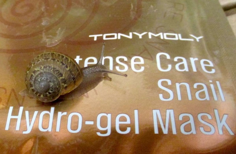 Tonymoly Intense Care Snail Hydro-gel Mask with its “creator,” Cornu aspersum. 