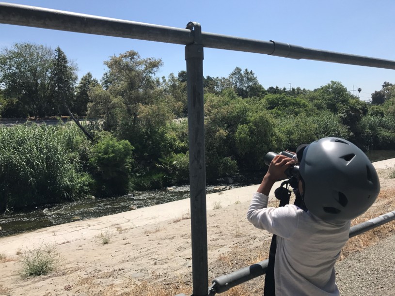 Marcos' son, Bija, birding along the L.A. River. 