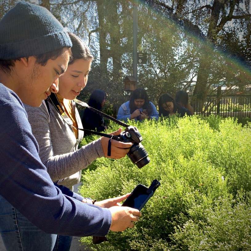 Students photographing insects on a bush using cameras and phones with clip-on lenses