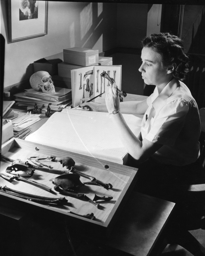 Hildegarde Howard at desk