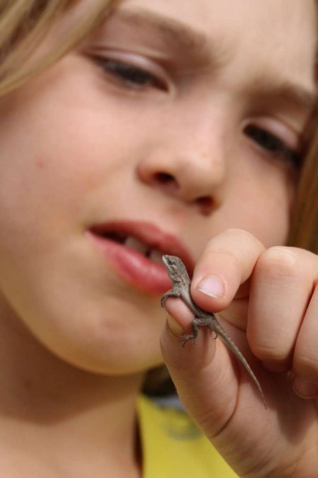 Jude Ready holding a lizard nature blog 